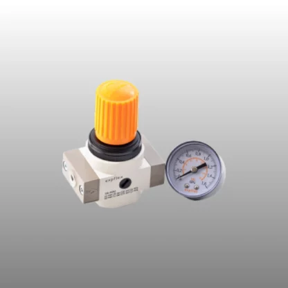 1/4 Mini Regülatör Q35.5