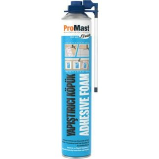 PROMAST TABANCALI MANTOLAMA KÖPÜK 750 ML