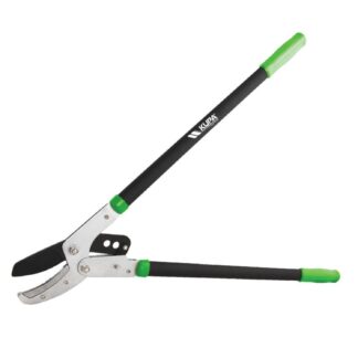 KUPA KUP8517 DAL BUDAMA MAKASI