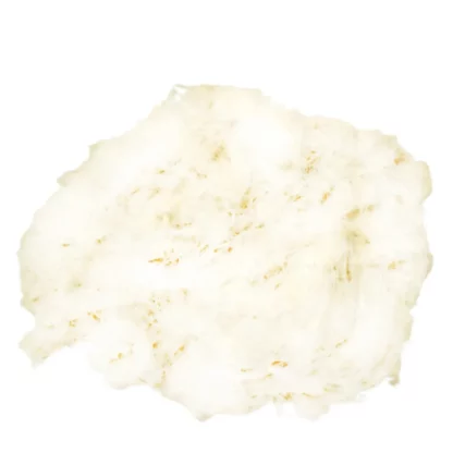 Pastalik Üstübü 1000 gr